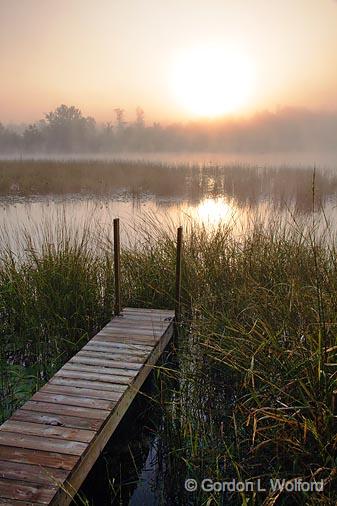 Grassed-In Dock_07145.jpg - Photographed near Lindsay, Ontario, Canada.